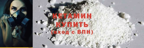 крисы Надым