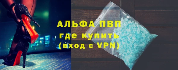 крисы Надым