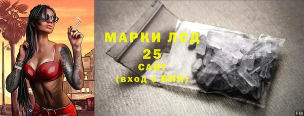 крисы Надым