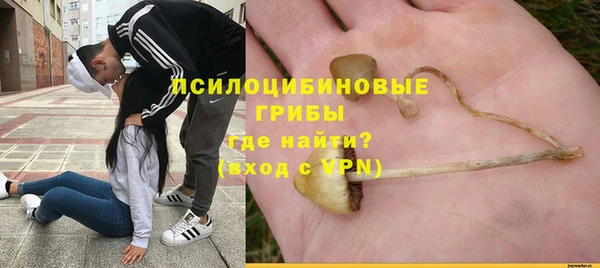 крисы Надым